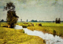 "Under Dutch Skies"
